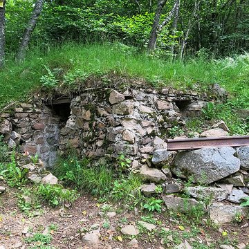 Champ de bataille de lHartmannswillerkopf dans la forêt communale