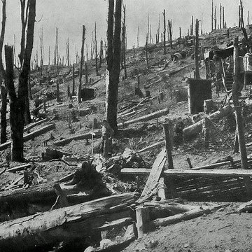 Champ de bataille de lHartmannswillerkopf dans la forêt communale