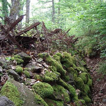 Champ de bataille de lHartmannswillerkopf dans la forêt communale