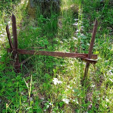 Champ de bataille de lHartmannswillerkopf dans la forêt communale