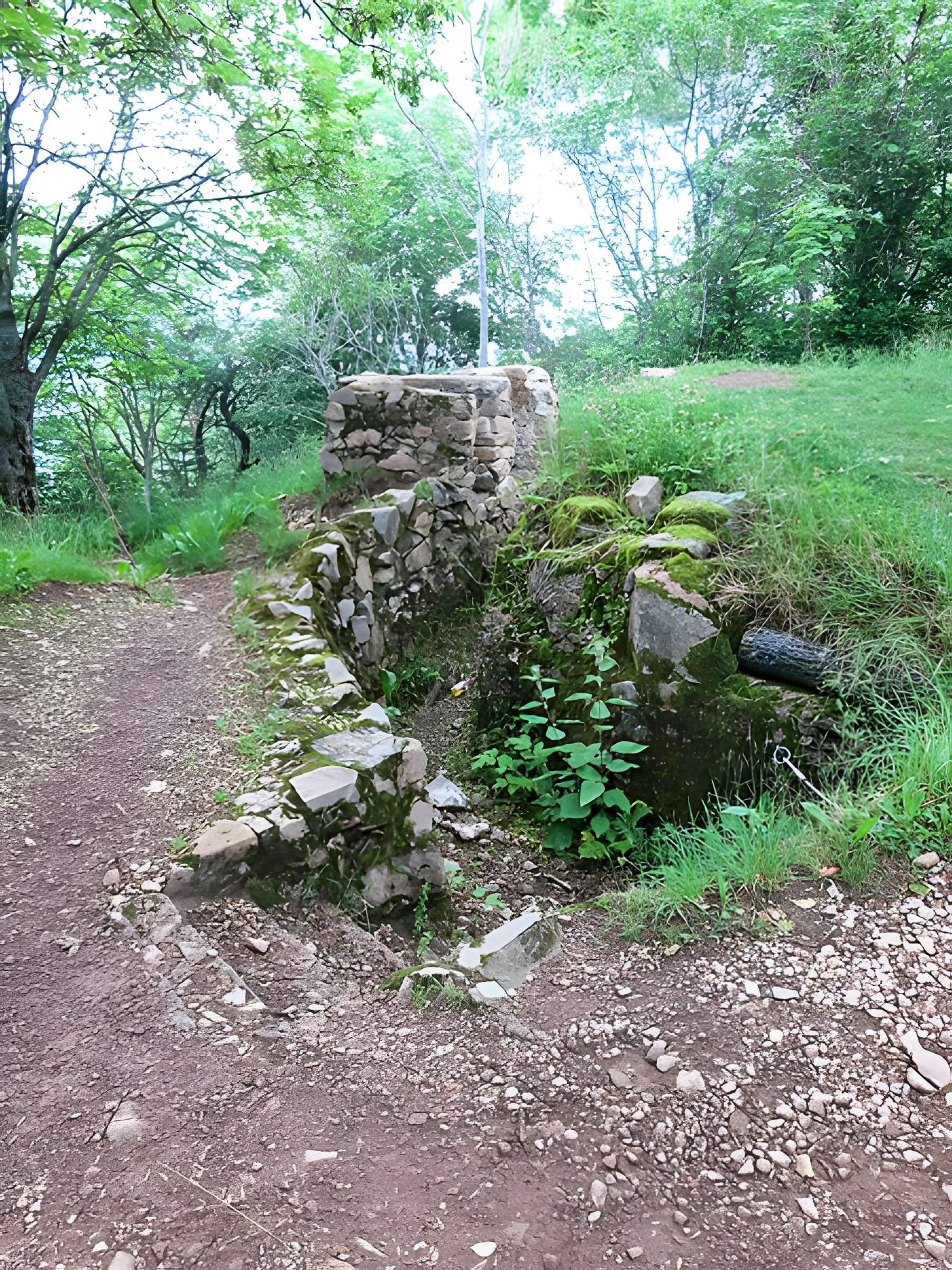 Champ de bataille de l'Hartmannswillerkopf dans la forêt communale
