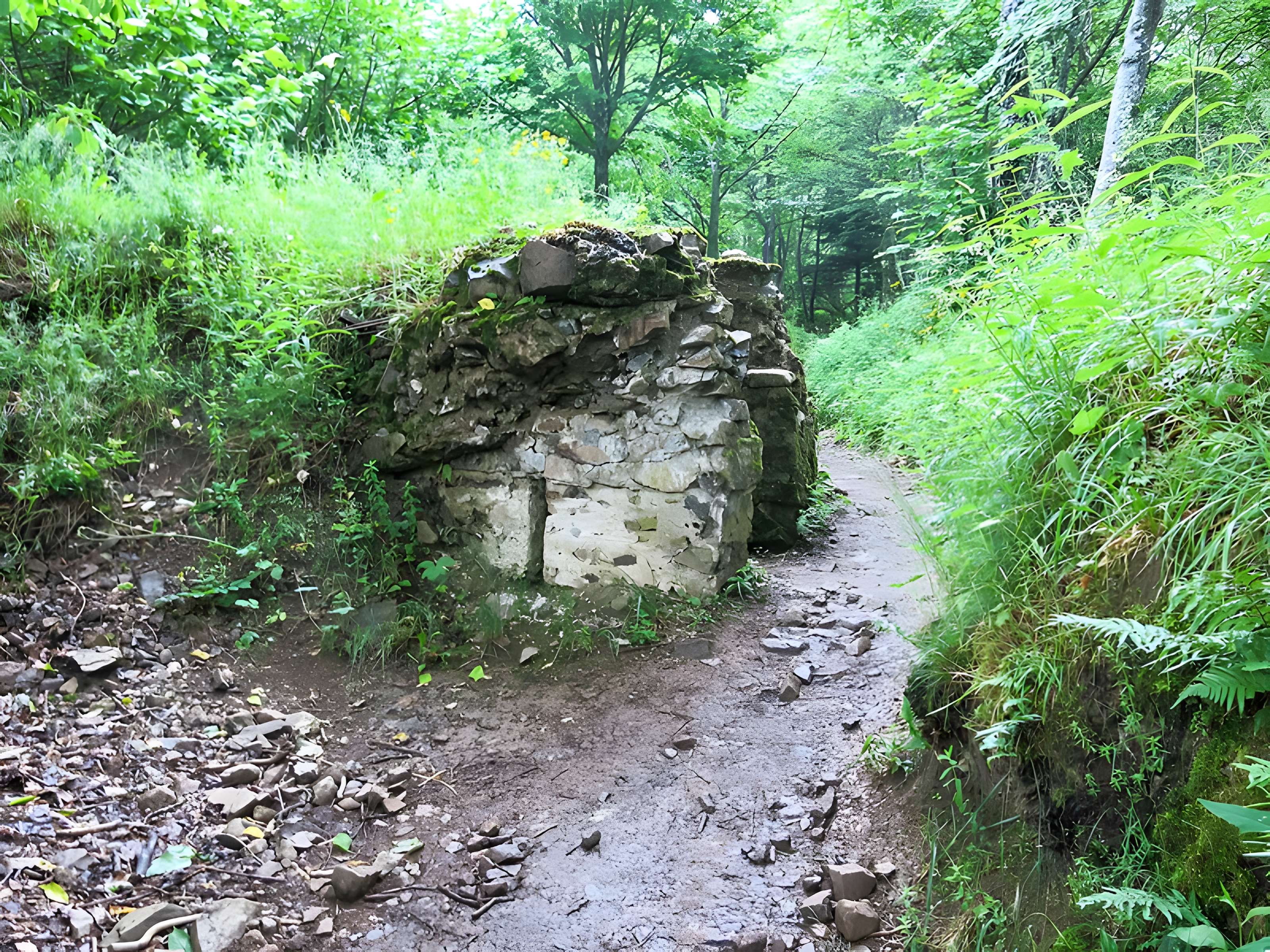 Champ de bataille de l'Hartmannswillerkopf dans la forêt communale