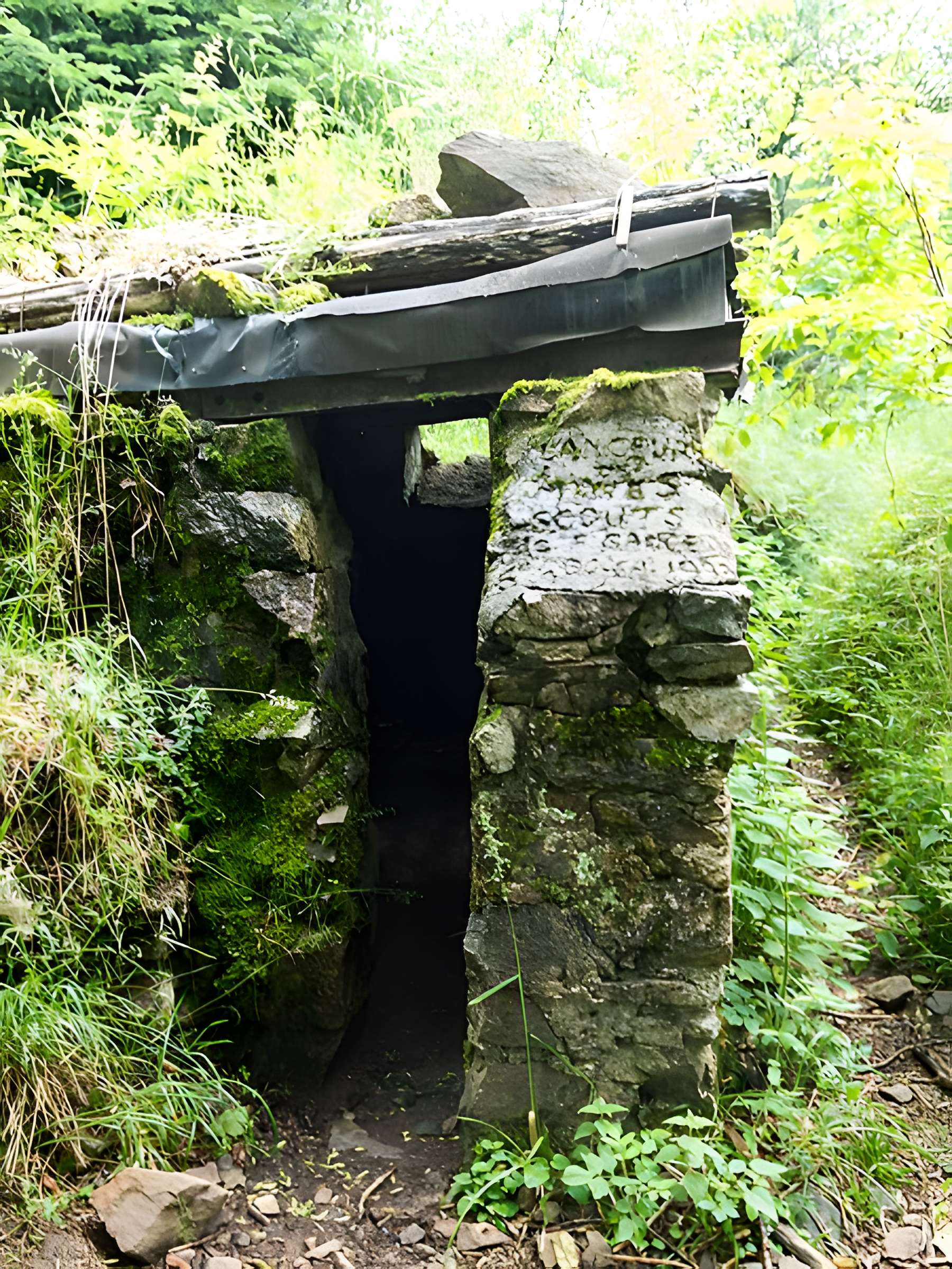 Champ de bataille de l'Hartmannswillerkopf dans la forêt communale