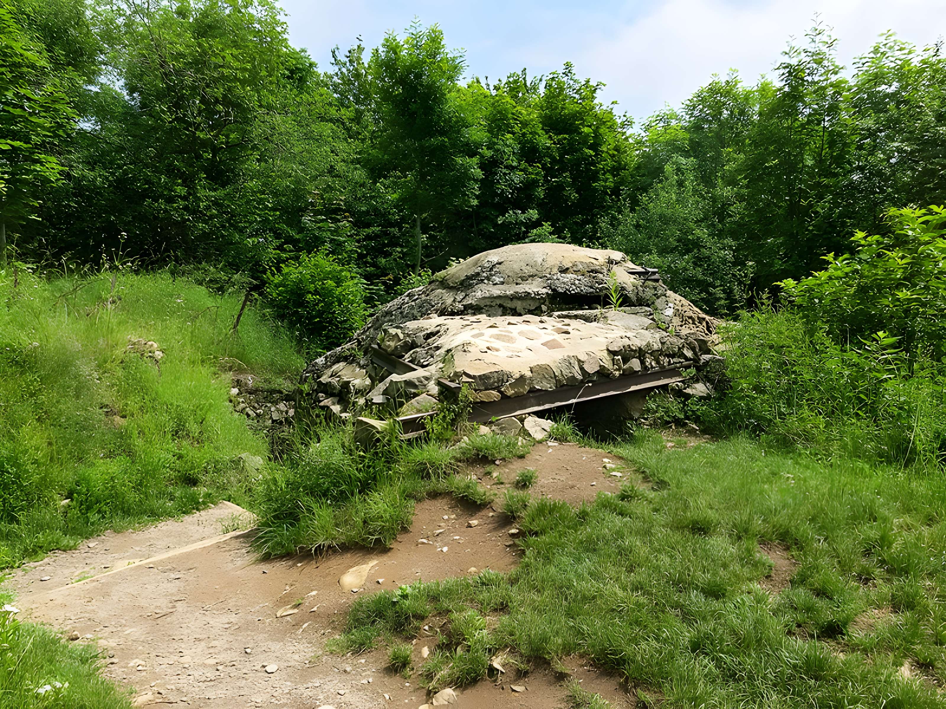 Champ de bataille de l'Hartmannswillerkopf dans la forêt communale