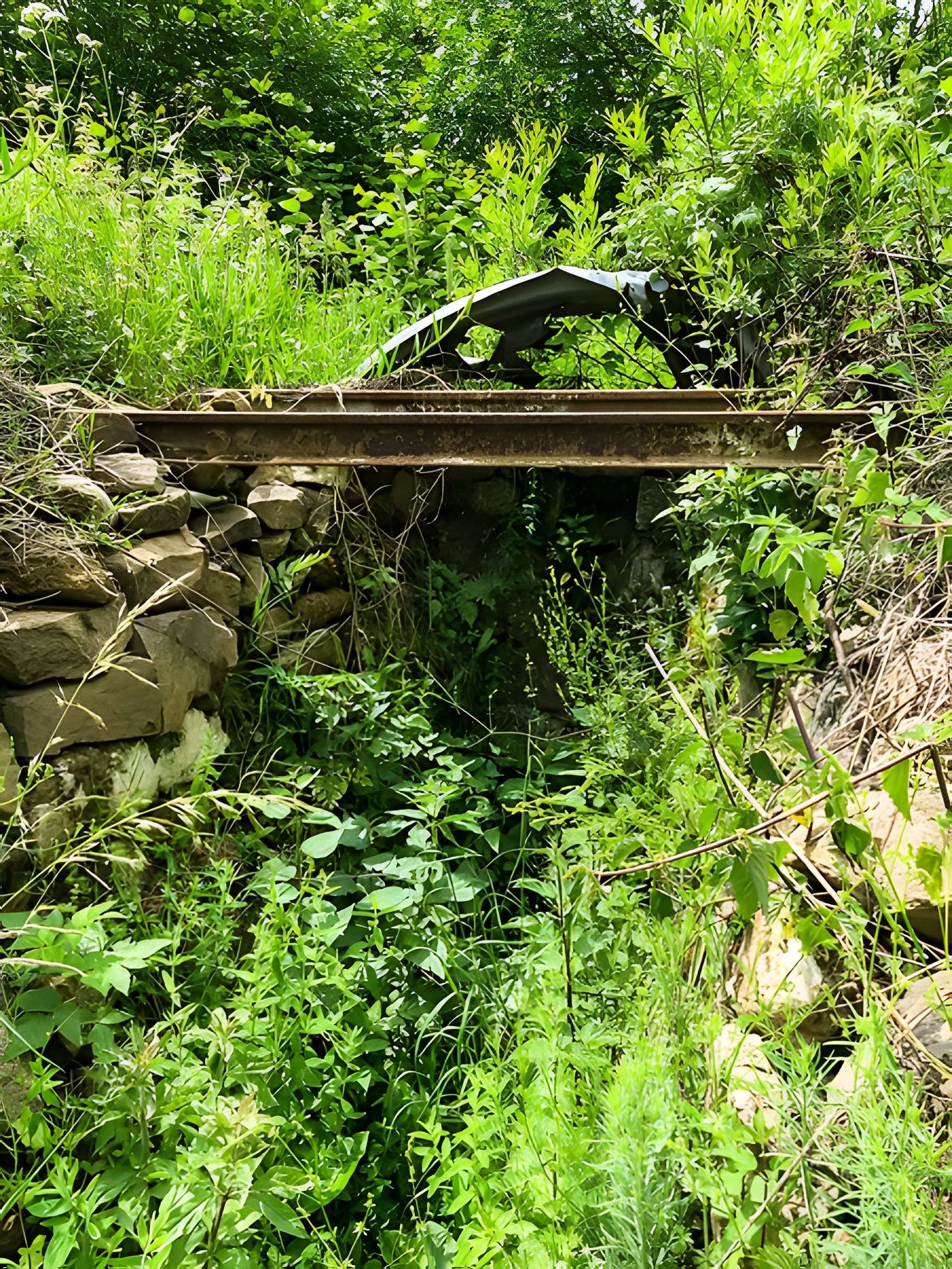 Champ de bataille de l'Hartmannswillerkopf dans la forêt communale