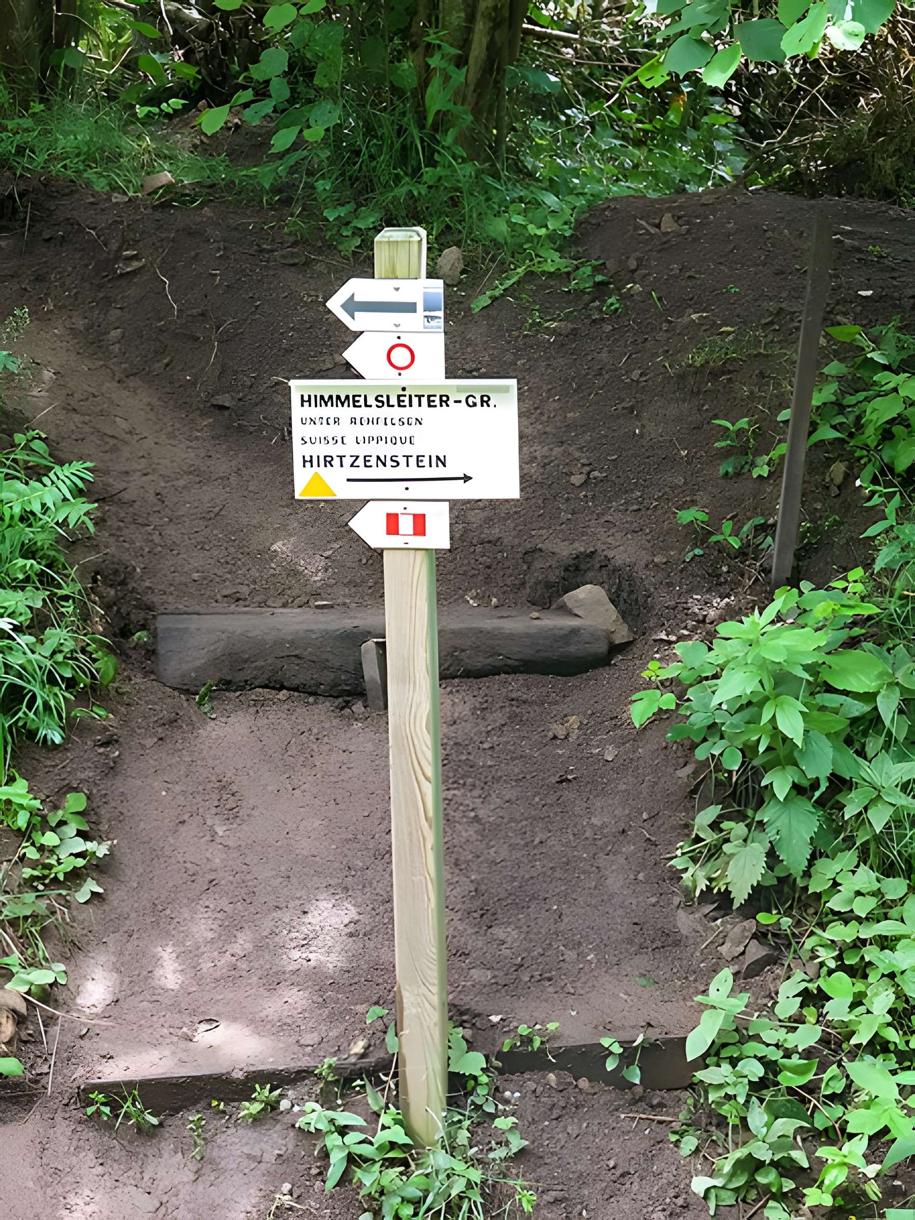 Champ de bataille de l'Hartmannswillerkopf dans la forêt communale