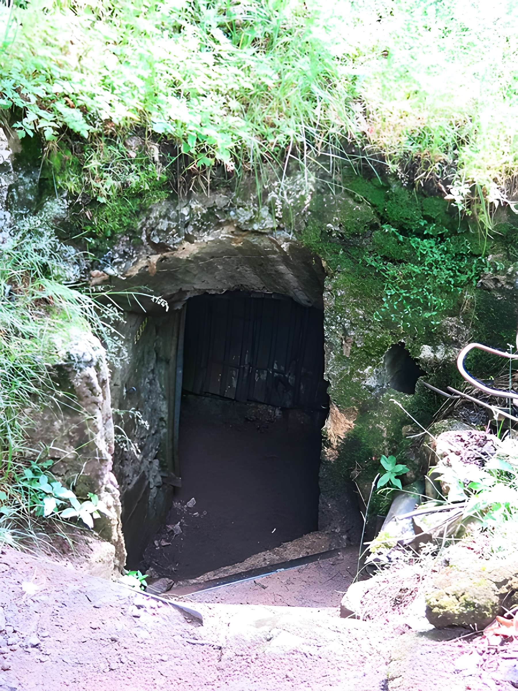 Champ de bataille de l'Hartmannswillerkopf dans la forêt communale