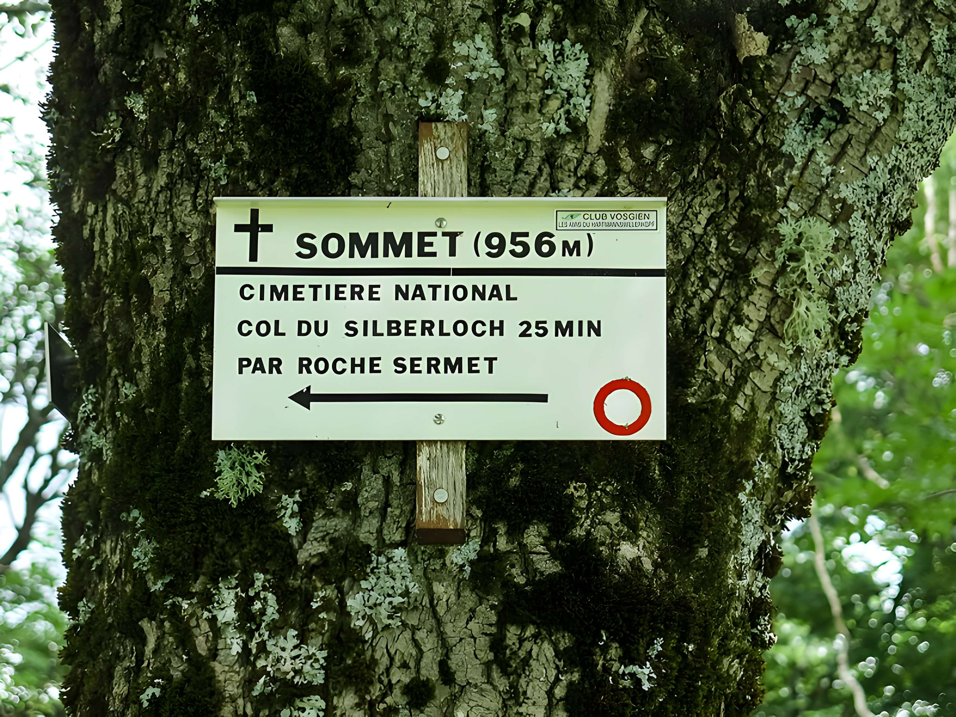 Champ de bataille de l'Hartmannswillerkopf dans la forêt communale