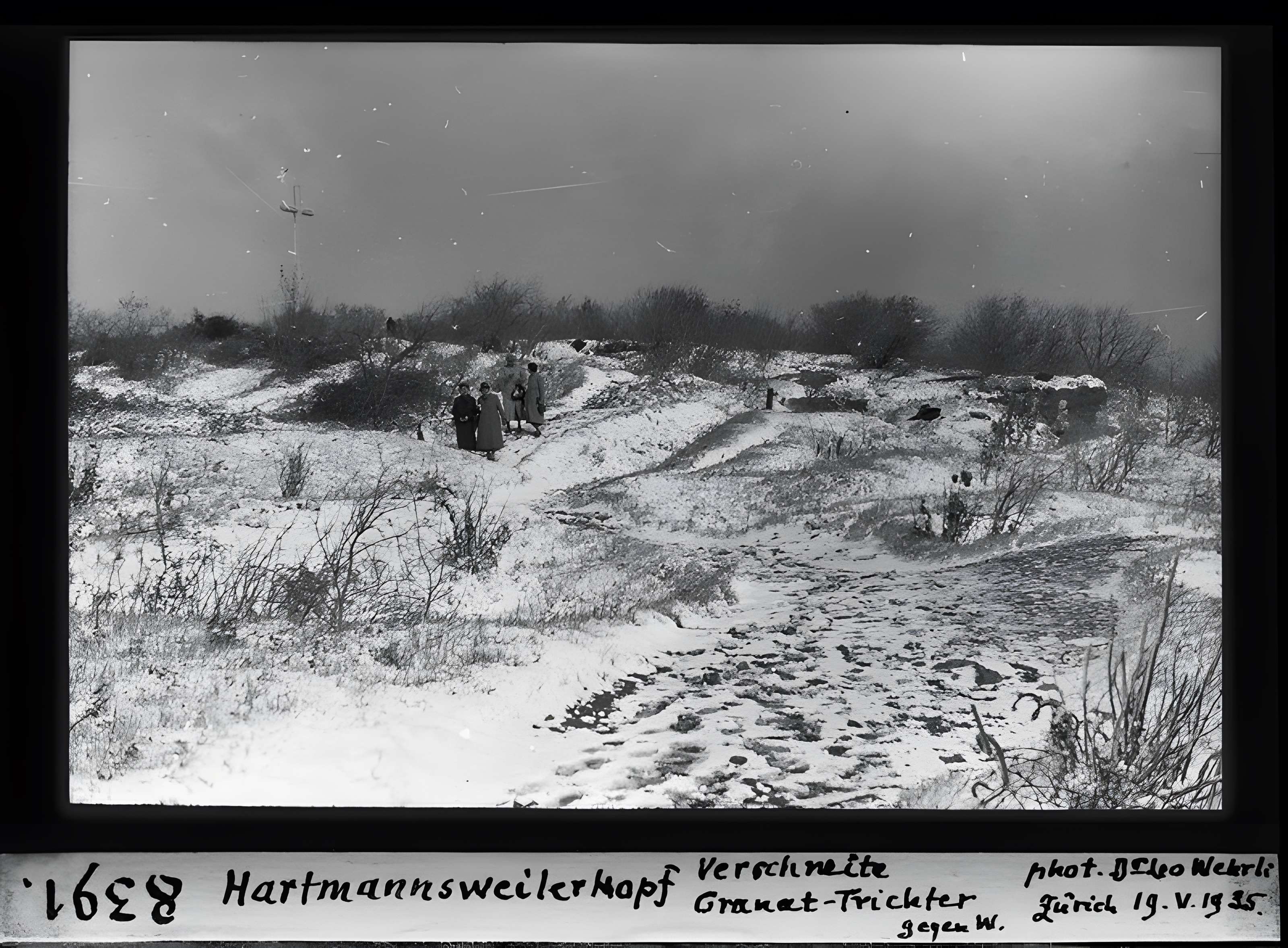 Champ de bataille de l'Hartmannswillerkopf dans la forêt communale
