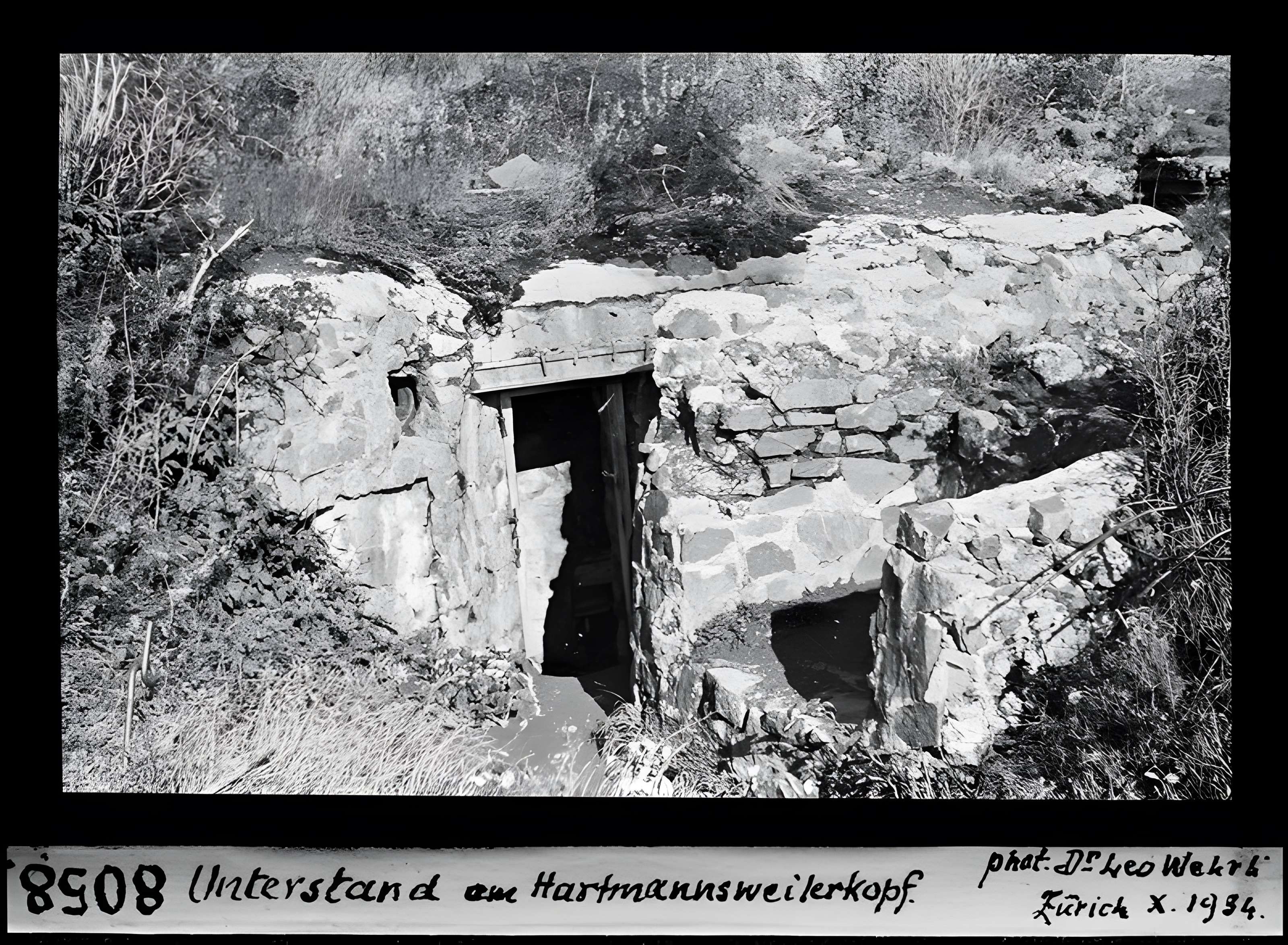 Champ de bataille de l'Hartmannswillerkopf dans la forêt communale