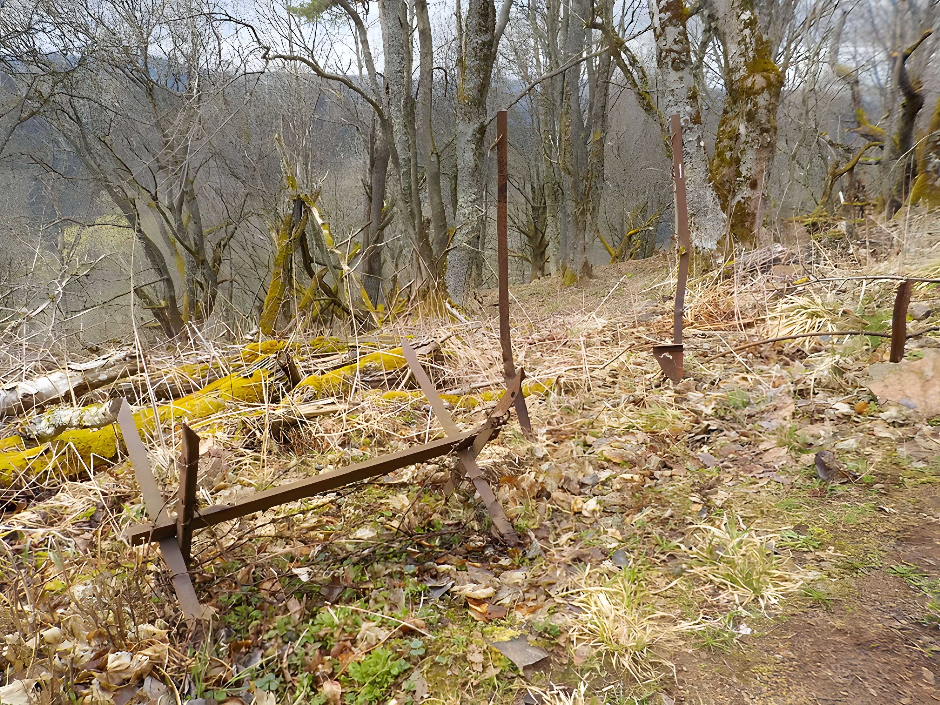 Champ de bataille de l'Hartmannswillerkopf dans la forêt communale