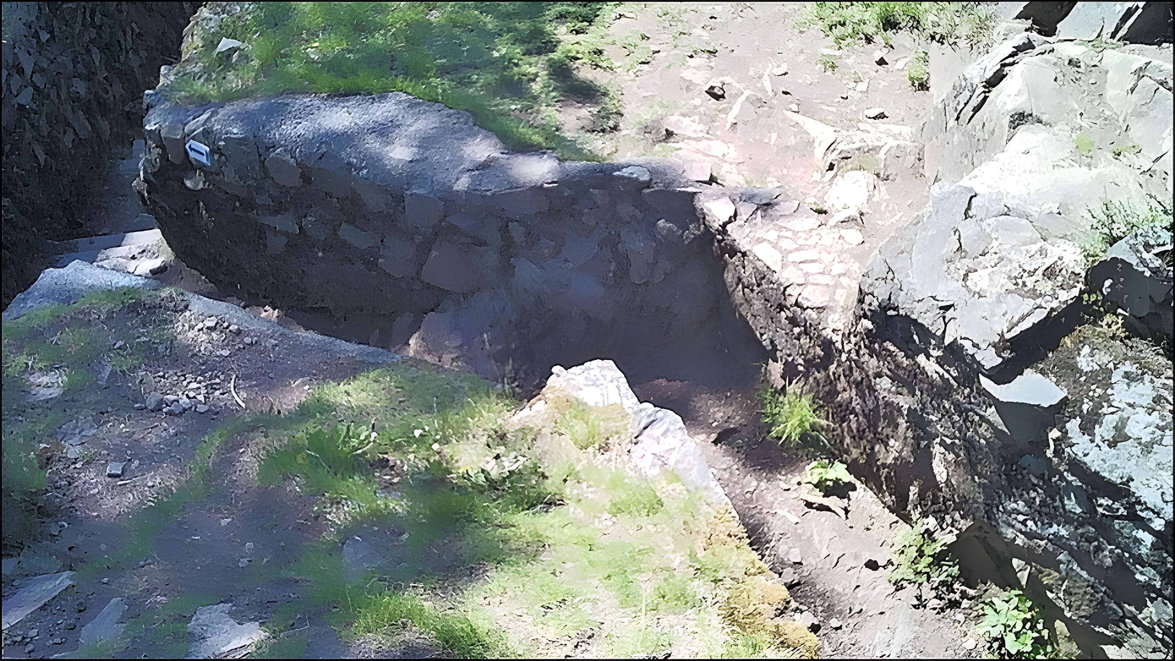 Champ de bataille de l'Hartmannswillerkopf dans la forêt communale