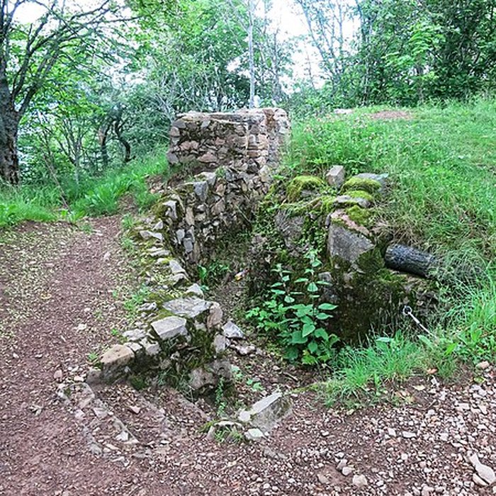 Photo de Champ de bataille de lHartmannswillerkopt dans la forêt communale également sur communes de Soultz-Haut-Rhin, Uffholtz, Wattwiller et Wuenheim