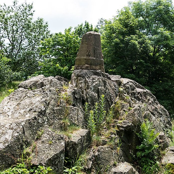 Photo de Champ de bataille de lHartmannswillerkopt dans la forêt communale également sur communes de Soultz-Haut-Rhin, Uffholtz, Wattwiller et Wuenheim
