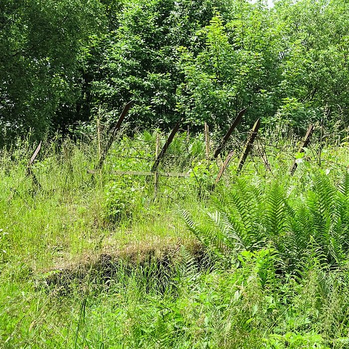 Photo de Champ de bataille de lHartmannswillerkopt dans la forêt communale également sur communes de Soultz-Haut-Rhin, Uffholtz, Wattwiller et Wuenheim