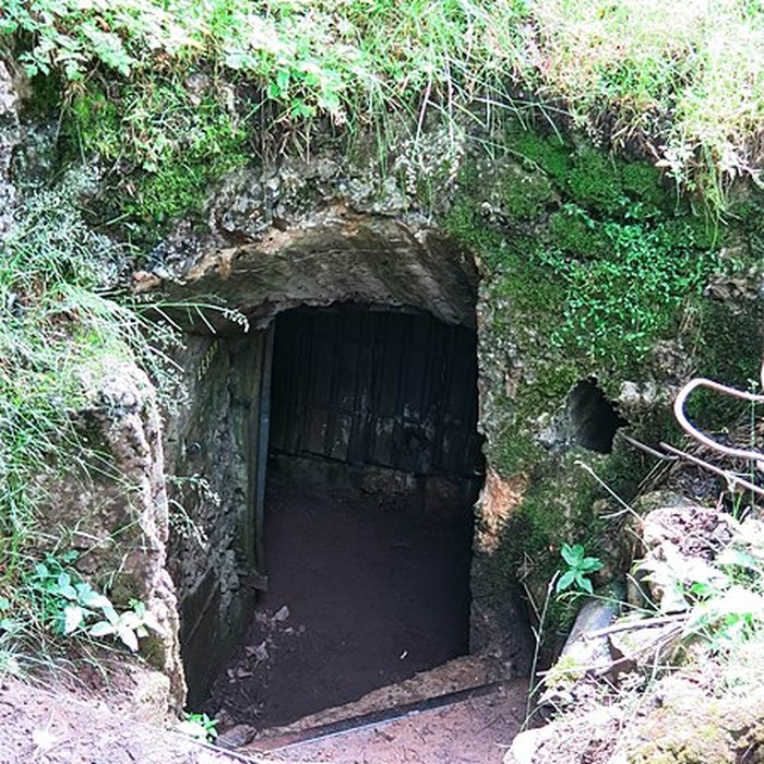 Photo de Champ de bataille de lHartmannswillerkopt dans la forêt communale également sur communes de Soultz-Haut-Rhin, Uffholtz, Wattwiller et Wuenheim