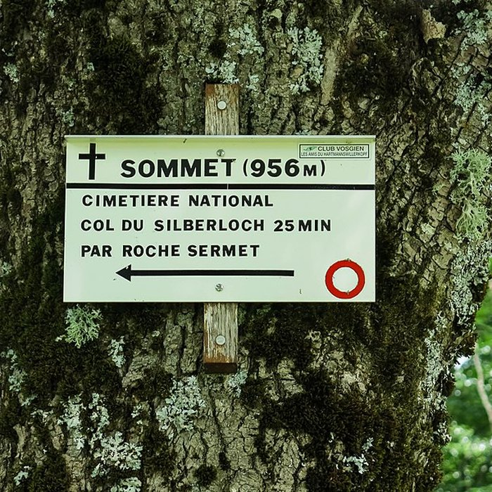 Photo de Champ de bataille de lHartmannswillerkopt dans la forêt communale également sur communes de Soultz-Haut-Rhin, Uffholtz, Wattwiller et Wuenheim