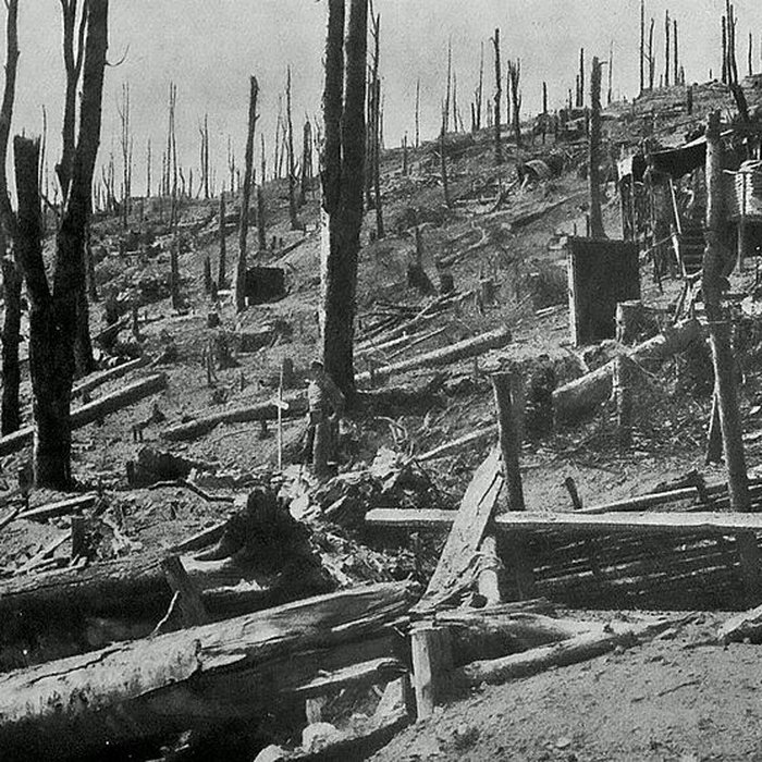 Photo de Champ de bataille de lHartmannswillerkopt dans la forêt communale également sur communes de Soultz-Haut-Rhin, Uffholtz, Wattwiller et Wuenheim