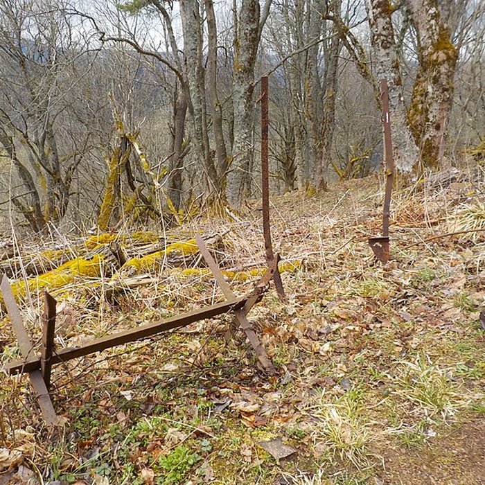 Photo de Champ de bataille de lHartmannswillerkopt dans la forêt communale également sur communes de Soultz-Haut-Rhin, Uffholtz, Wattwiller et Wuenheim