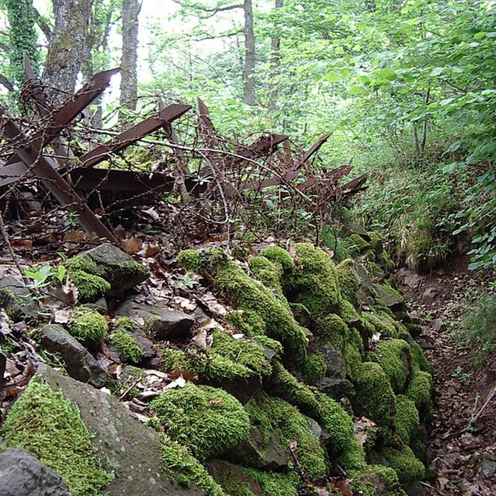 Photo de Champ de bataille de lHartmannswillerkopt dans la forêt communale également sur communes de Soultz-Haut-Rhin, Uffholtz, Wattwiller et Wuenheim