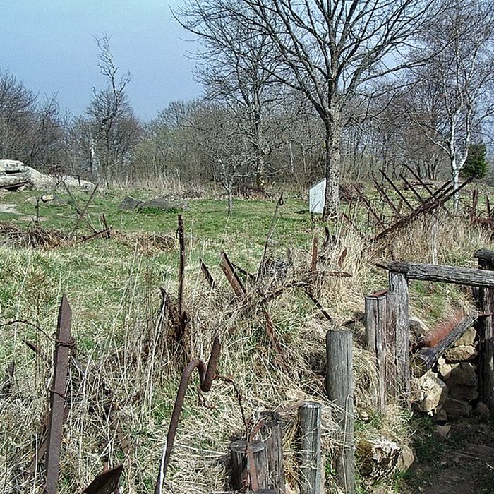 Photo de Champ de bataille de lHartmannswillerkopt dans la forêt communale également sur communes de Soultz-Haut-Rhin, Uffholtz, Wattwiller et Wuenheim