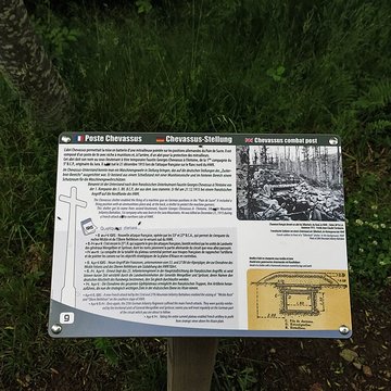 Champ de bataille de lHartmannswillerkopt dans la forêt communale également sur communes de Soultz-Haut-Rhin, Uffholtz, Wattwiller et Wuenheim