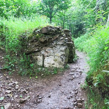 Champ de bataille de lHartmannswillerkopt dans la forêt communale également sur communes de Soultz-Haut-Rhin, Uffholtz, Wattwiller et Wuenheim