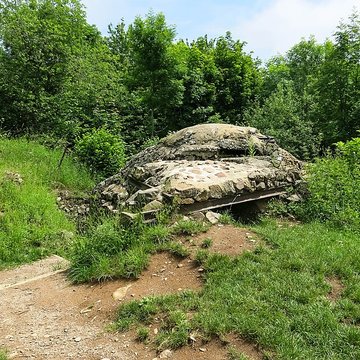 Champ de bataille de lHartmannswillerkopt dans la forêt communale également sur communes de Soultz-Haut-Rhin, Uffholtz, Wattwiller et Wuenheim