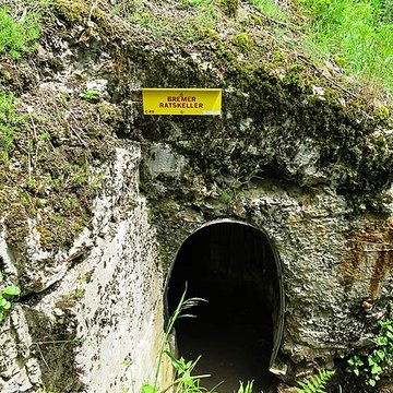 Champ de bataille de lHartmannswillerkopt dans la forêt communale également sur communes de Soultz-Haut-Rhin, Uffholtz, Wattwiller et Wuenheim