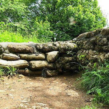 Champ de bataille de lHartmannswillerkopt dans la forêt communale également sur communes de Soultz-Haut-Rhin, Uffholtz, Wattwiller et Wuenheim