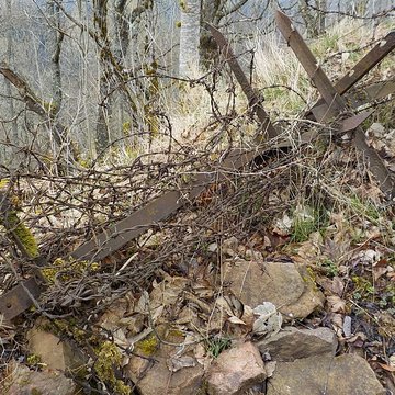 Champ de bataille de lHartmannswillerkopt dans la forêt communale également sur communes de Soultz-Haut-Rhin, Uffholtz, Wattwiller et Wuenheim