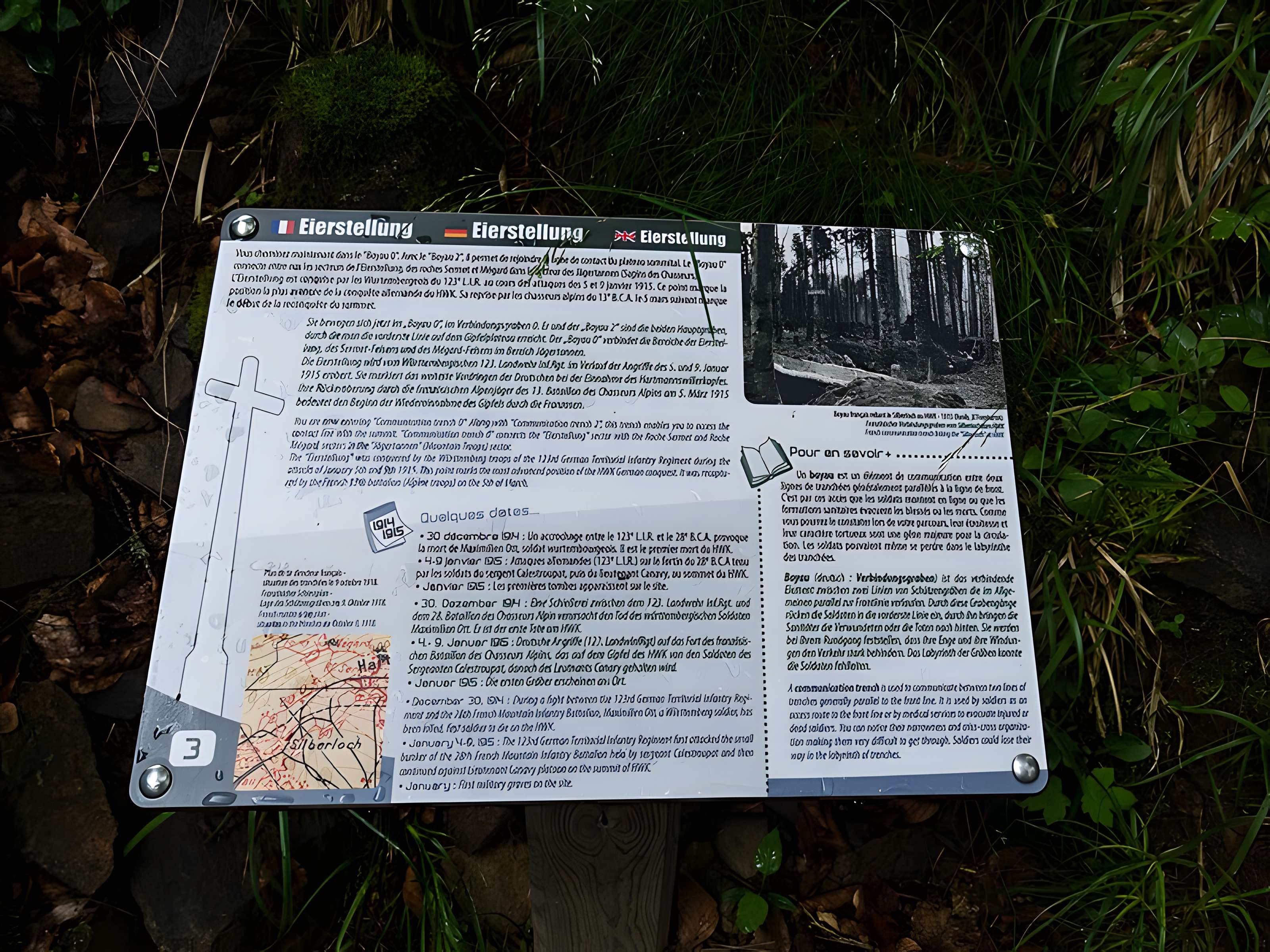 Champ de bataille de l'Hartmannswillerkopt dans la forêt communale (également sur communes de Soultz-Haut-Rhin, Uffholtz, Wattwiller et Wuenheim)