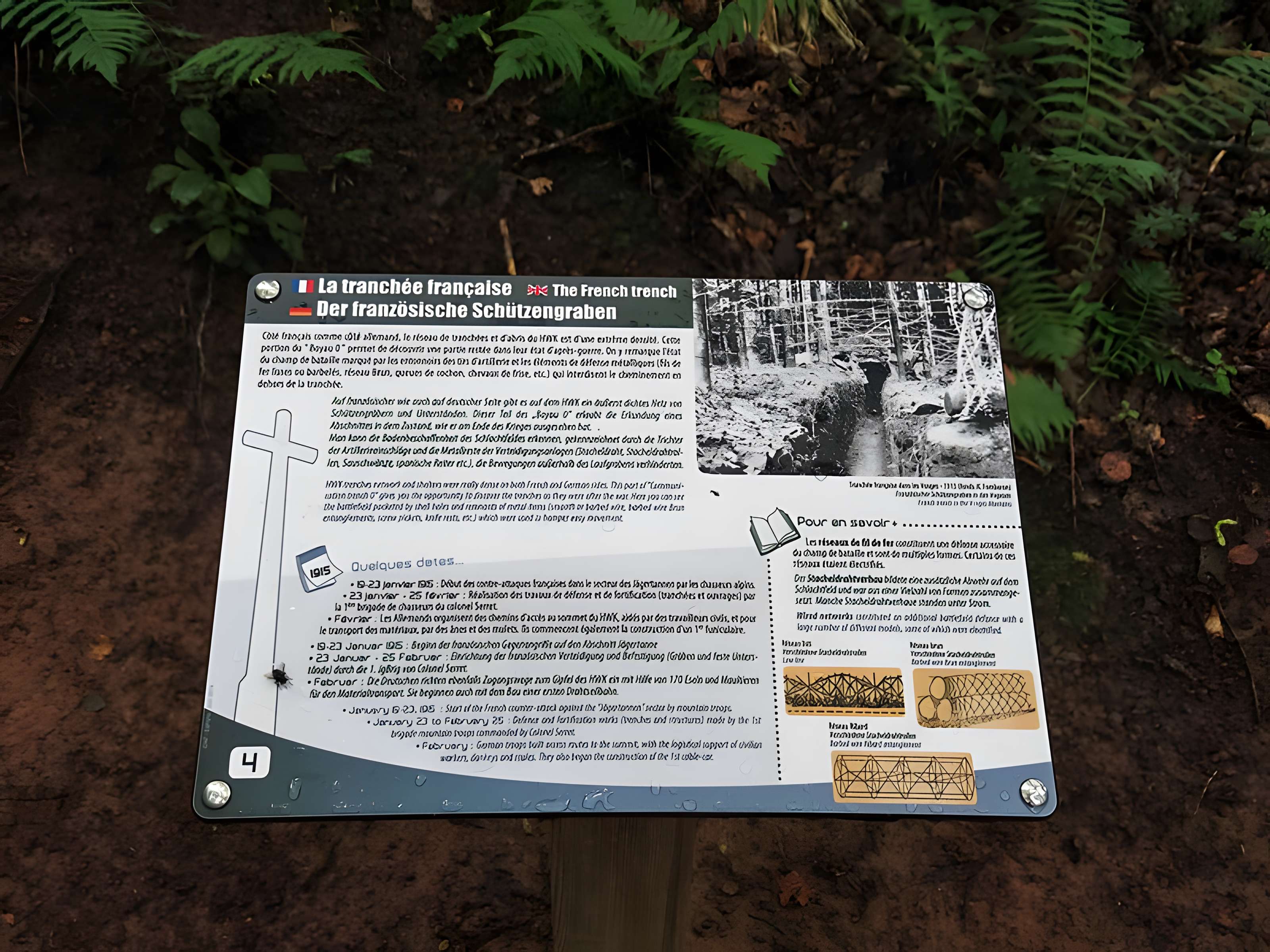 Champ de bataille de l'Hartmannswillerkopt dans la forêt communale (également sur communes de Soultz-Haut-Rhin, Uffholtz, Wattwiller et Wuenheim)