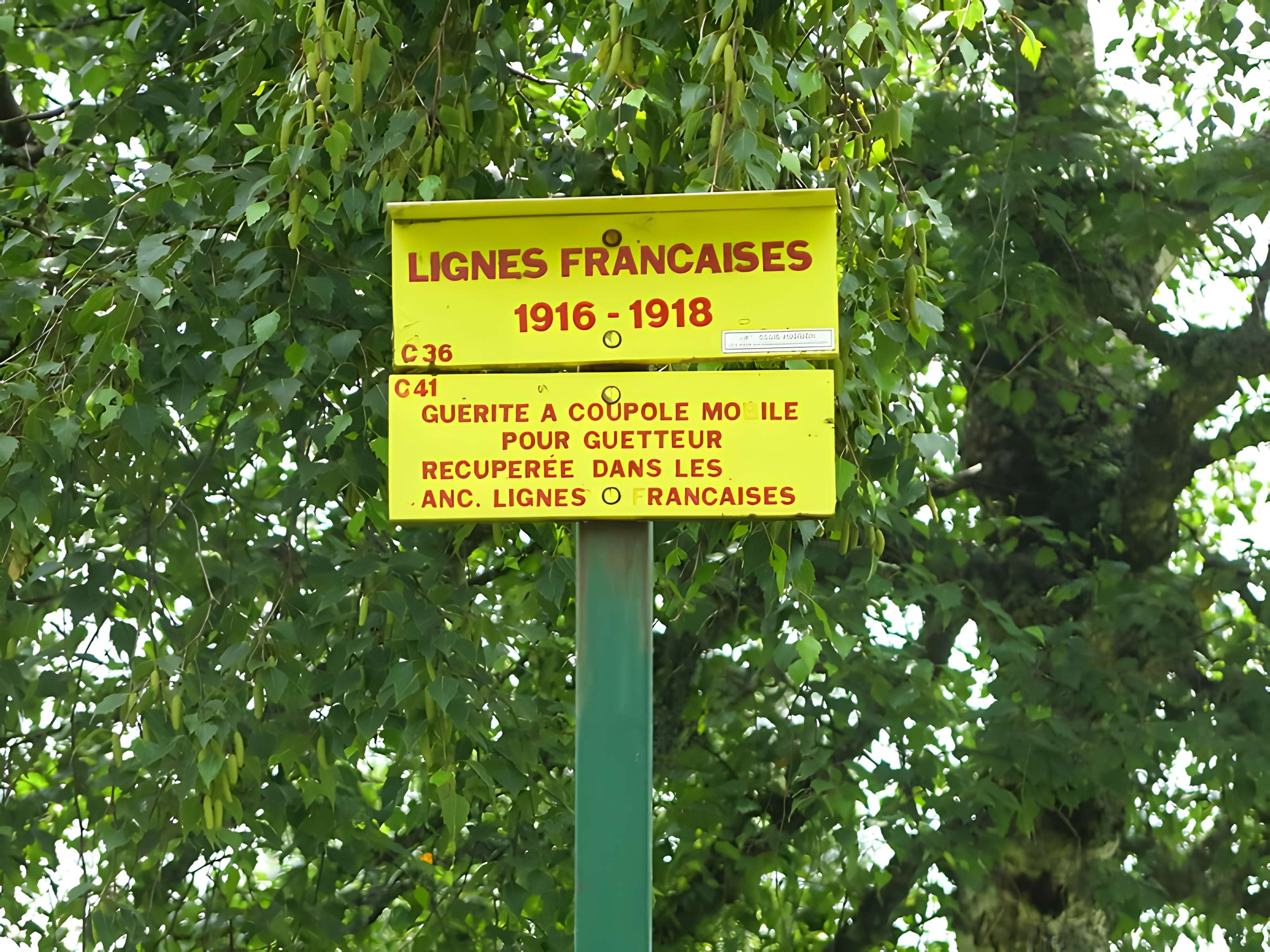 Champ de bataille de l'Hartmannswillerkopt dans la forêt communale (également sur communes de Soultz-Haut-Rhin, Uffholtz, Wattwiller et Wuenheim)