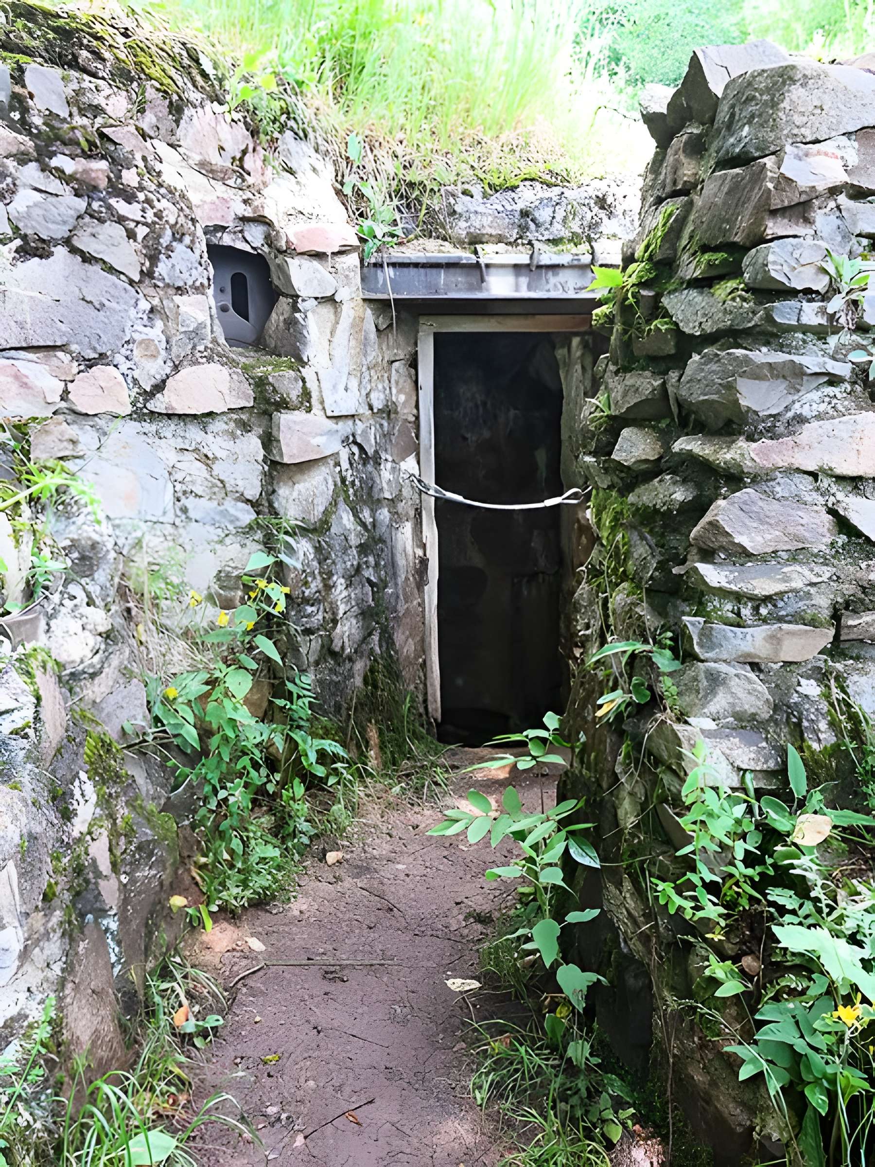Champ de bataille de l'Hartmannswillerkopt dans la forêt communale (également sur communes de Soultz-Haut-Rhin, Uffholtz, Wattwiller et Wuenheim)