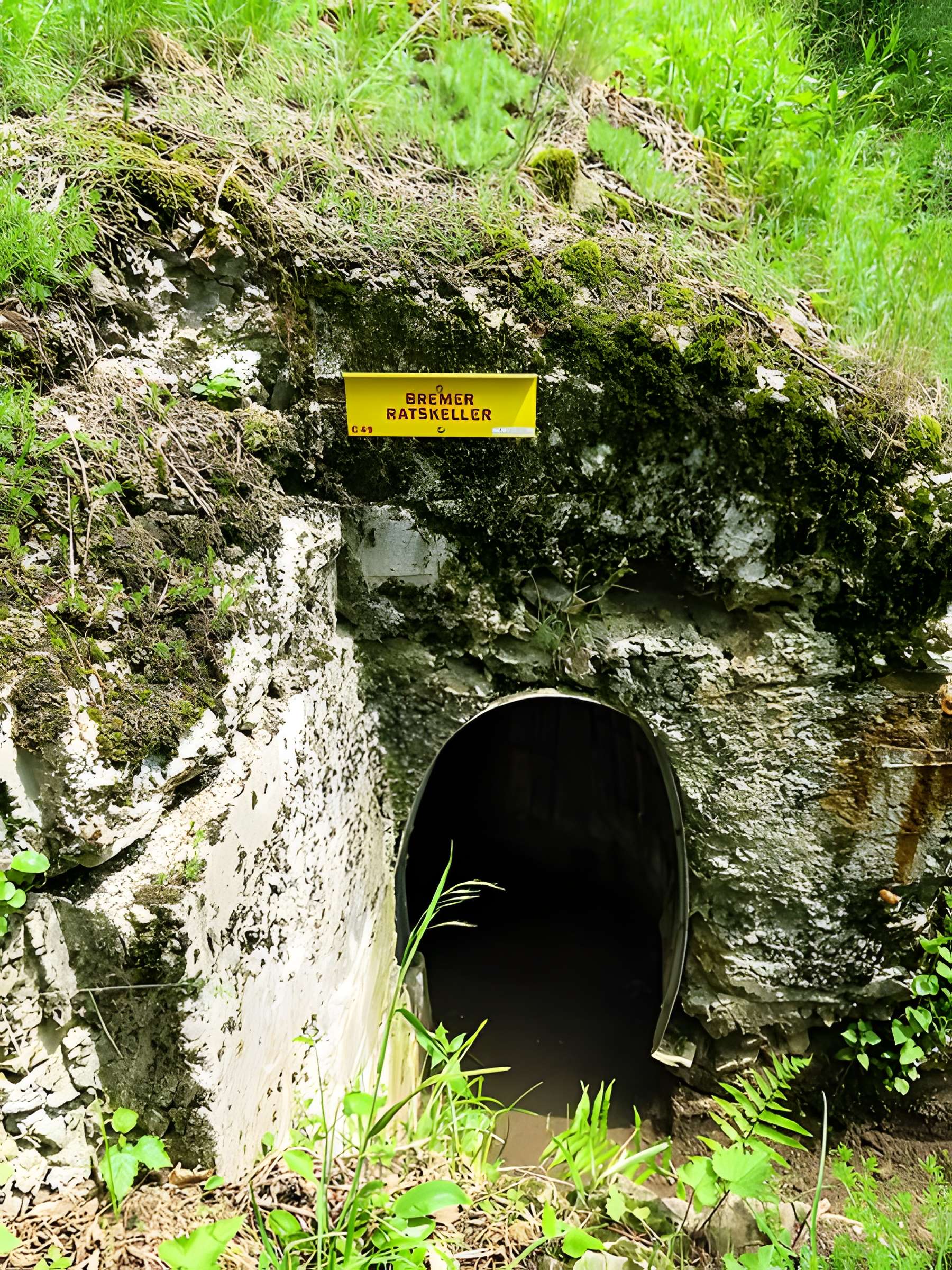 Champ de bataille de l'Hartmannswillerkopt dans la forêt communale (également sur communes de Soultz-Haut-Rhin, Uffholtz, Wattwiller et Wuenheim)