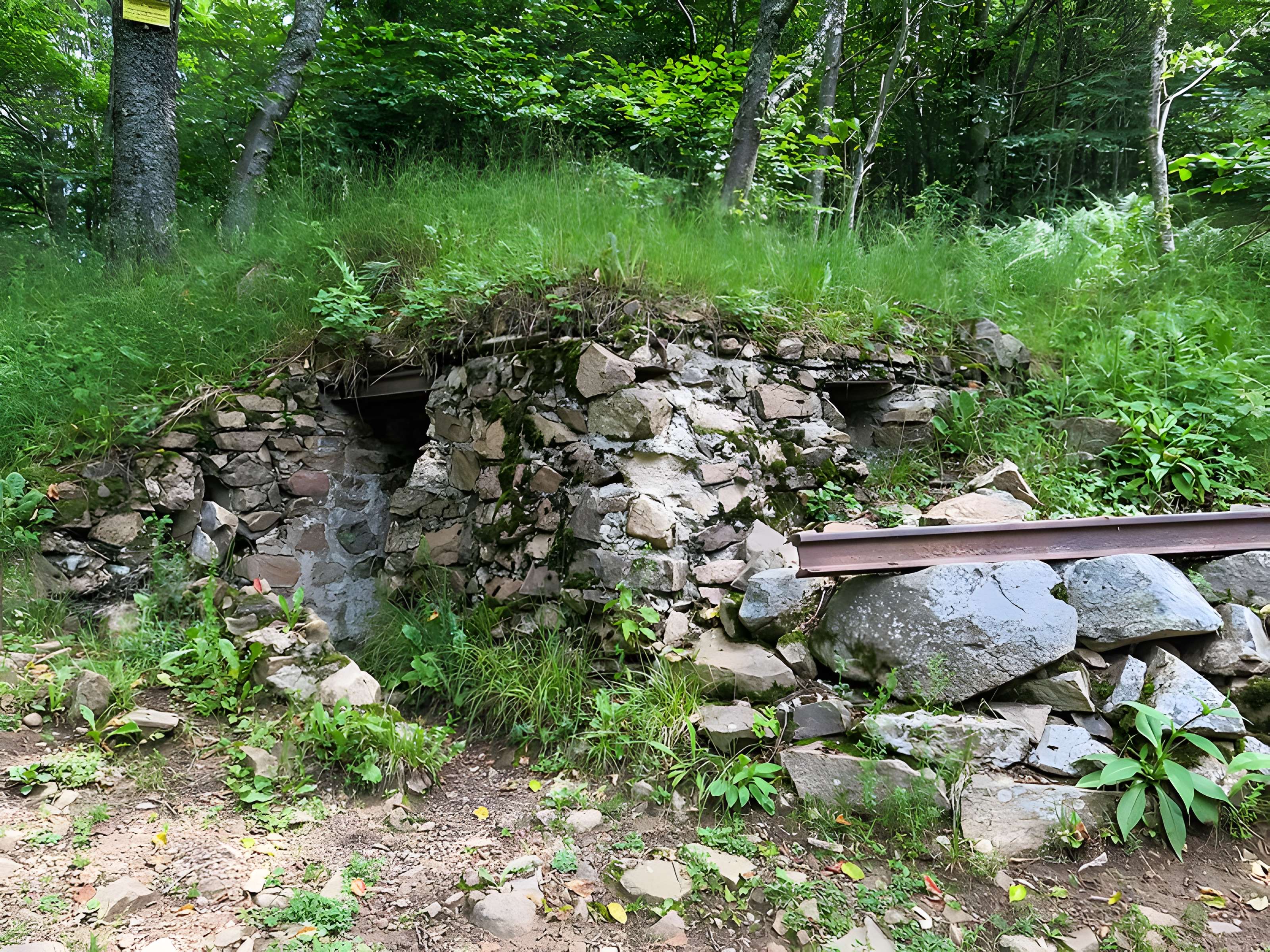 Champ de bataille de l'Hartmannswillerkopt dans la forêt communale (également sur communes de Soultz-Haut-Rhin, Uffholtz, Wattwiller et Wuenheim)