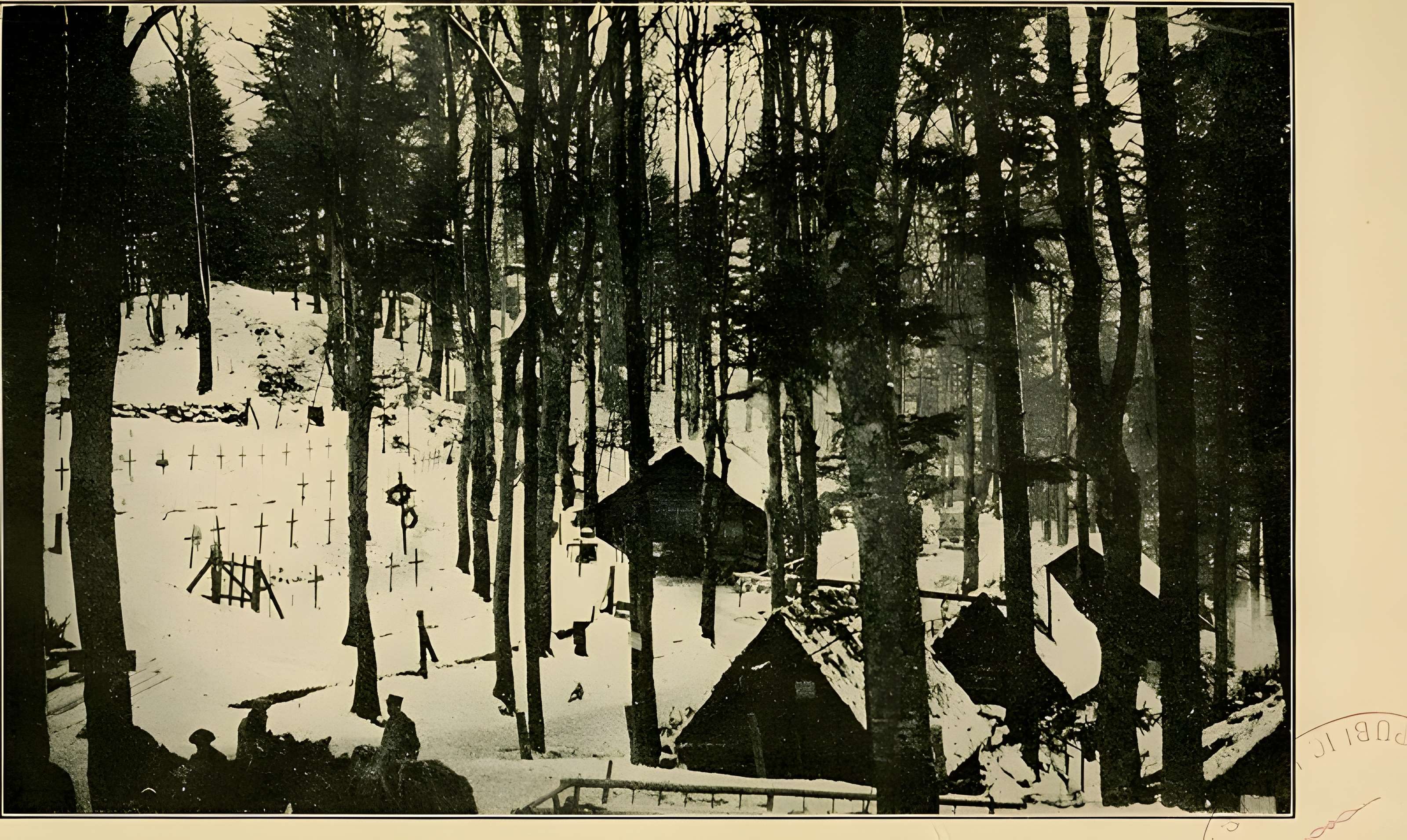 Champ de bataille de l'Hartmannswillerkopt dans la forêt communale (également sur communes de Soultz-Haut-Rhin, Uffholtz, Wattwiller et Wuenheim)