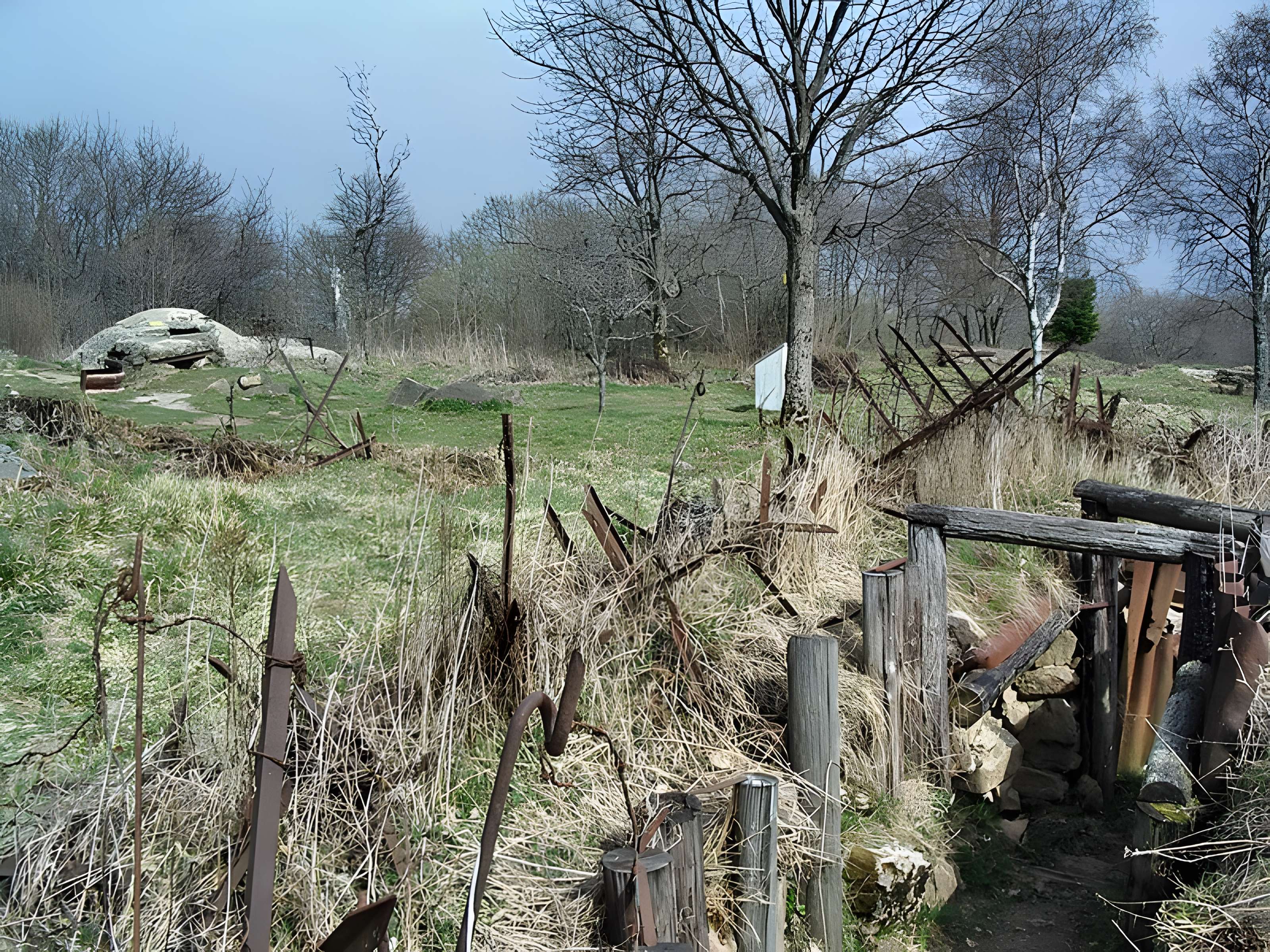 Champ de bataille de l'Hartmannswillerkopt dans la forêt communale (également sur communes de Soultz-Haut-Rhin, Uffholtz, Wattwiller et Wuenheim)