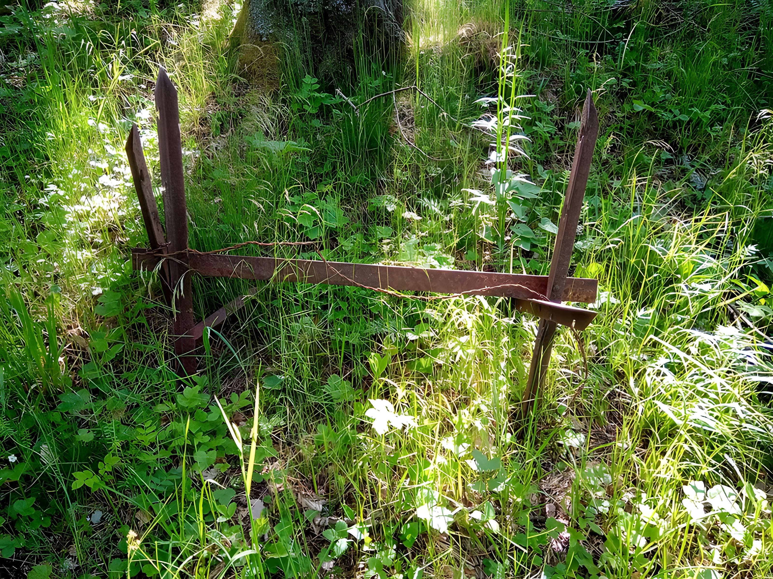 Champ de bataille de l'Hartmannswillerkopt dans la forêt communale (également sur communes de Soultz-Haut-Rhin, Uffholtz, Wattwiller et Wuenheim)
