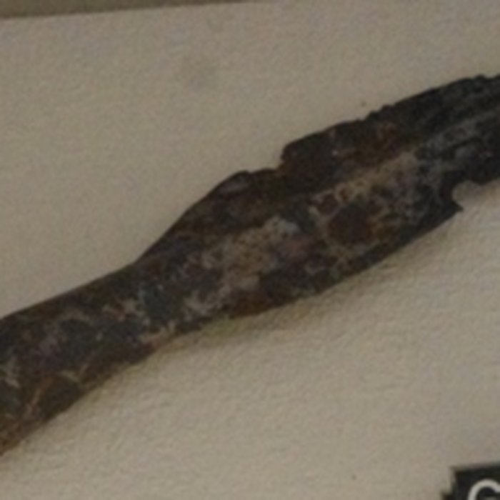 Photo de Enceinte protohistorique de Britzgyberg