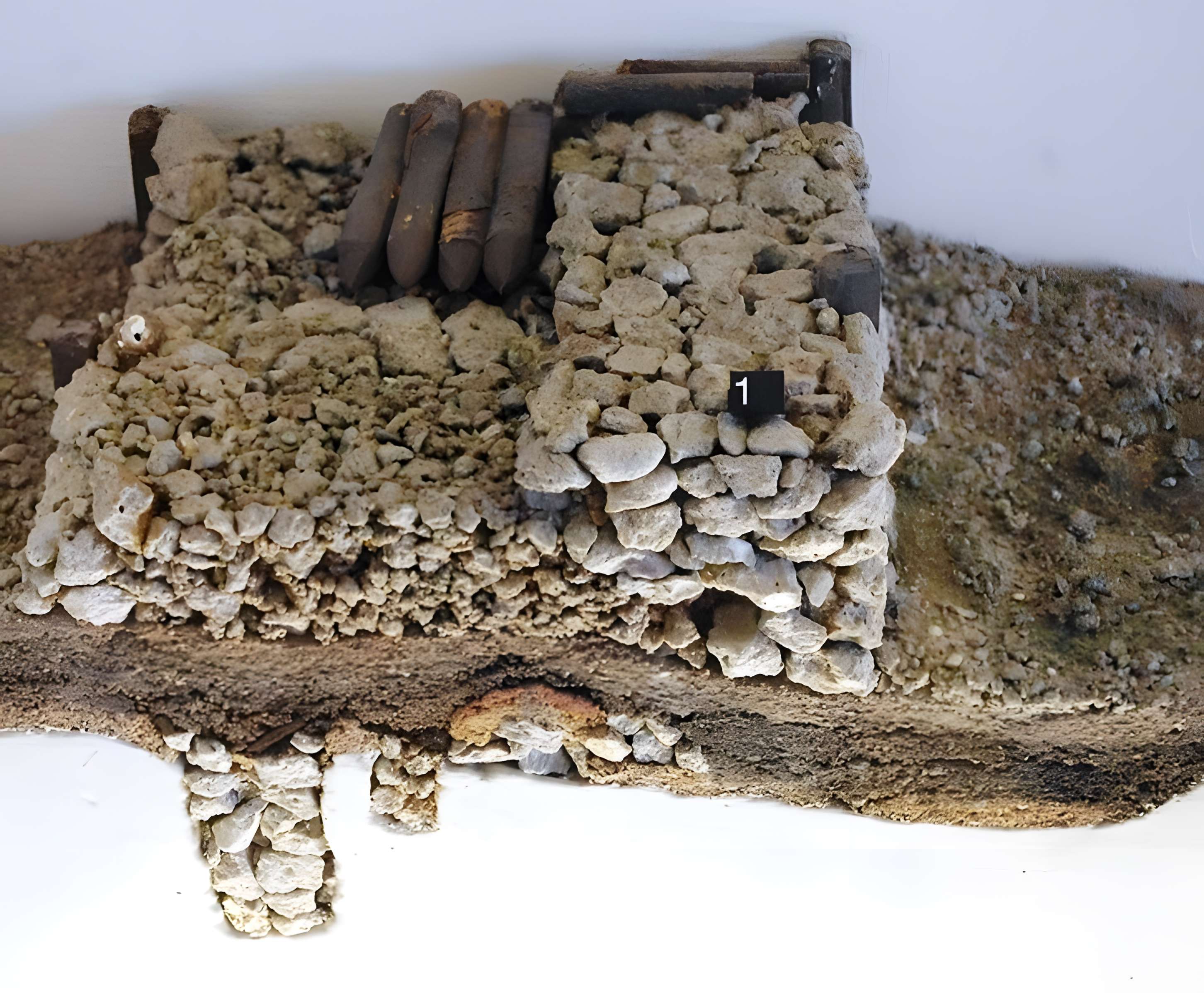 Enceinte protohistorique de Britzgyberg