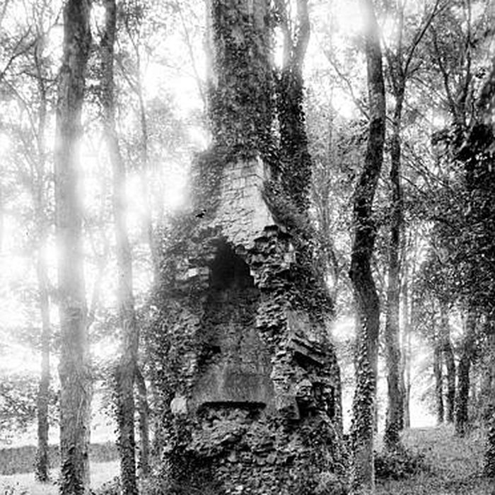 Photo de Grande cheminée de Quinéville