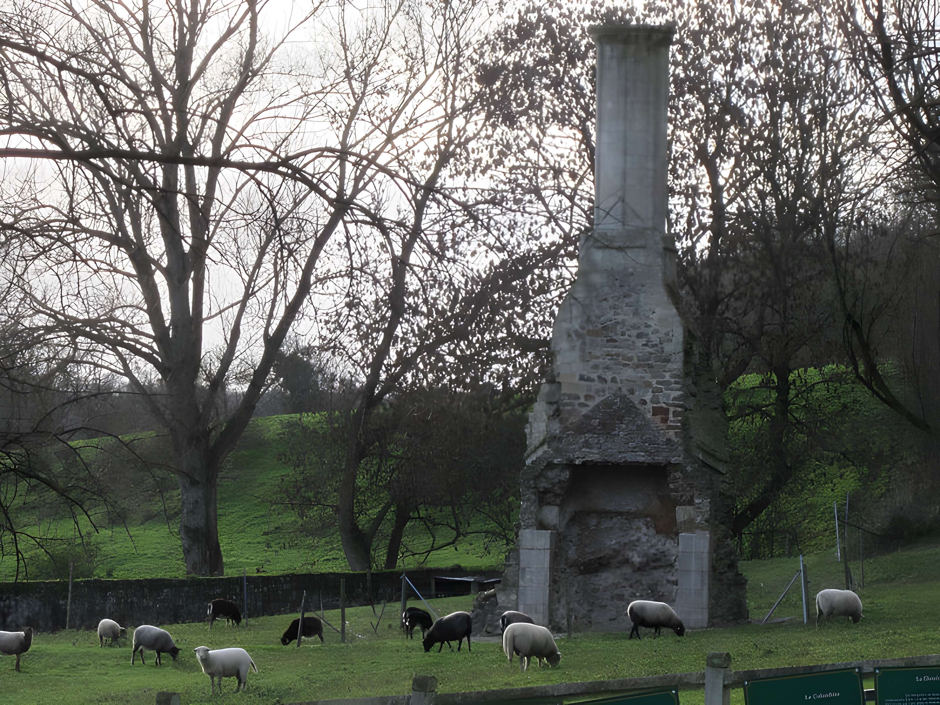 Grande cheminée de Quinéville 