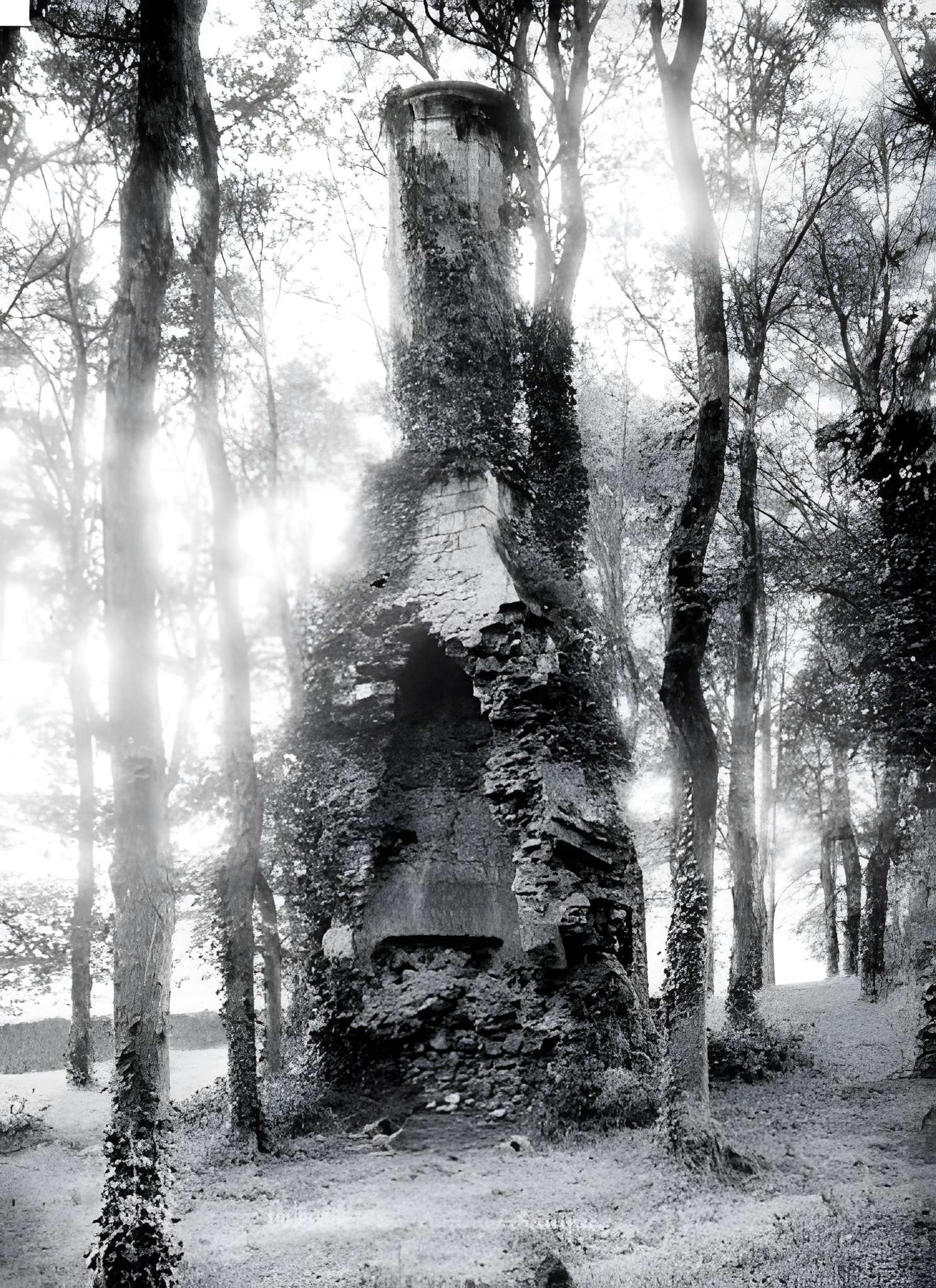 Grande cheminée de Quinéville