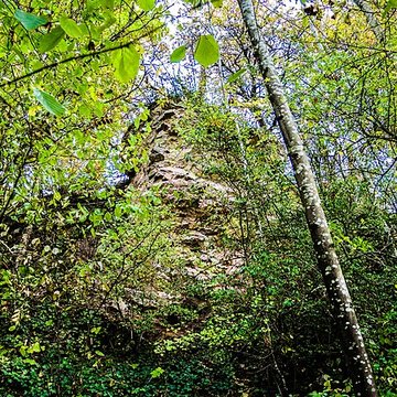 Cimetière israélite