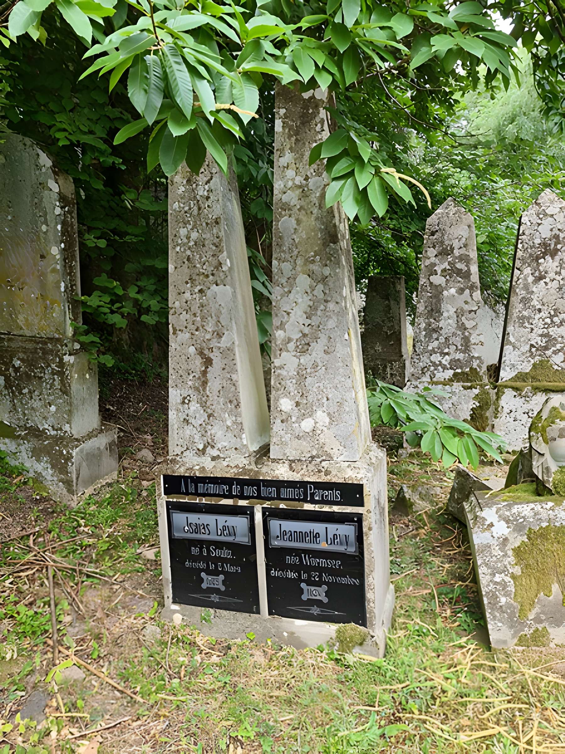 Cimetière israélite