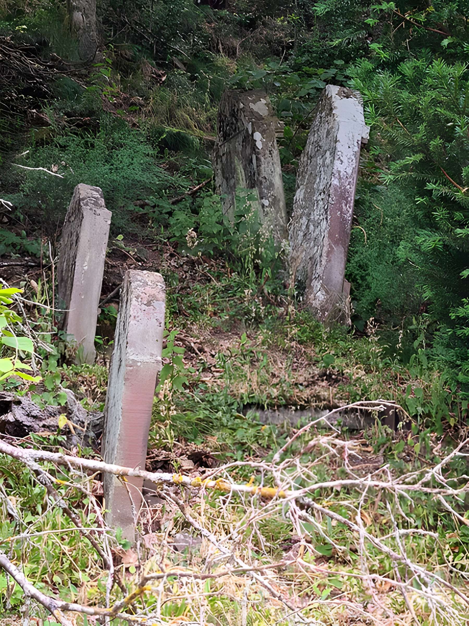 Cimetière israélite
