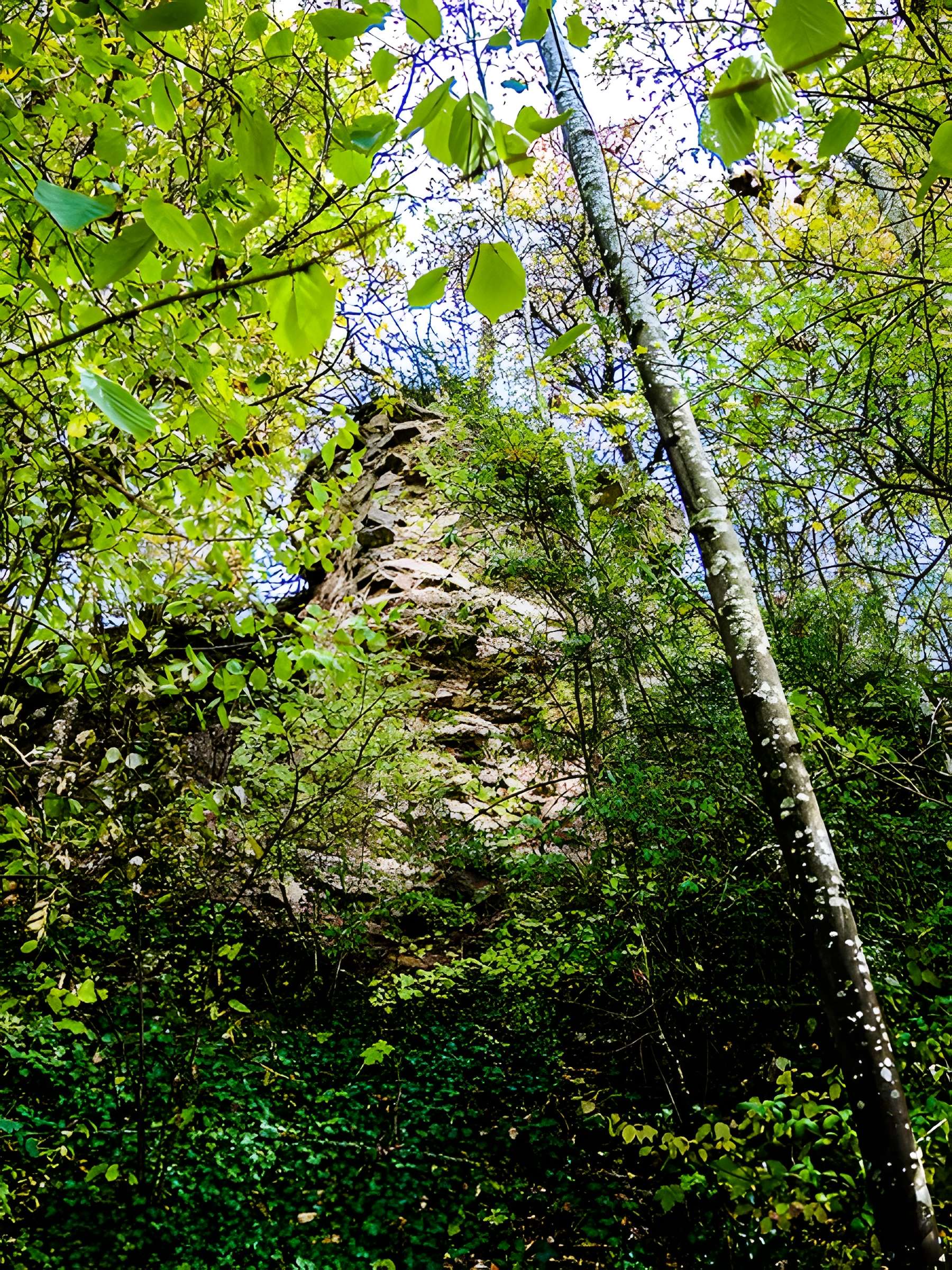 Cimetière israélite