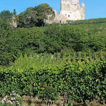 Château dit Schlossberg et enceinte